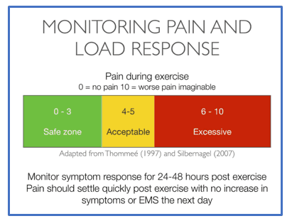 Monitoring Pain and Load response
