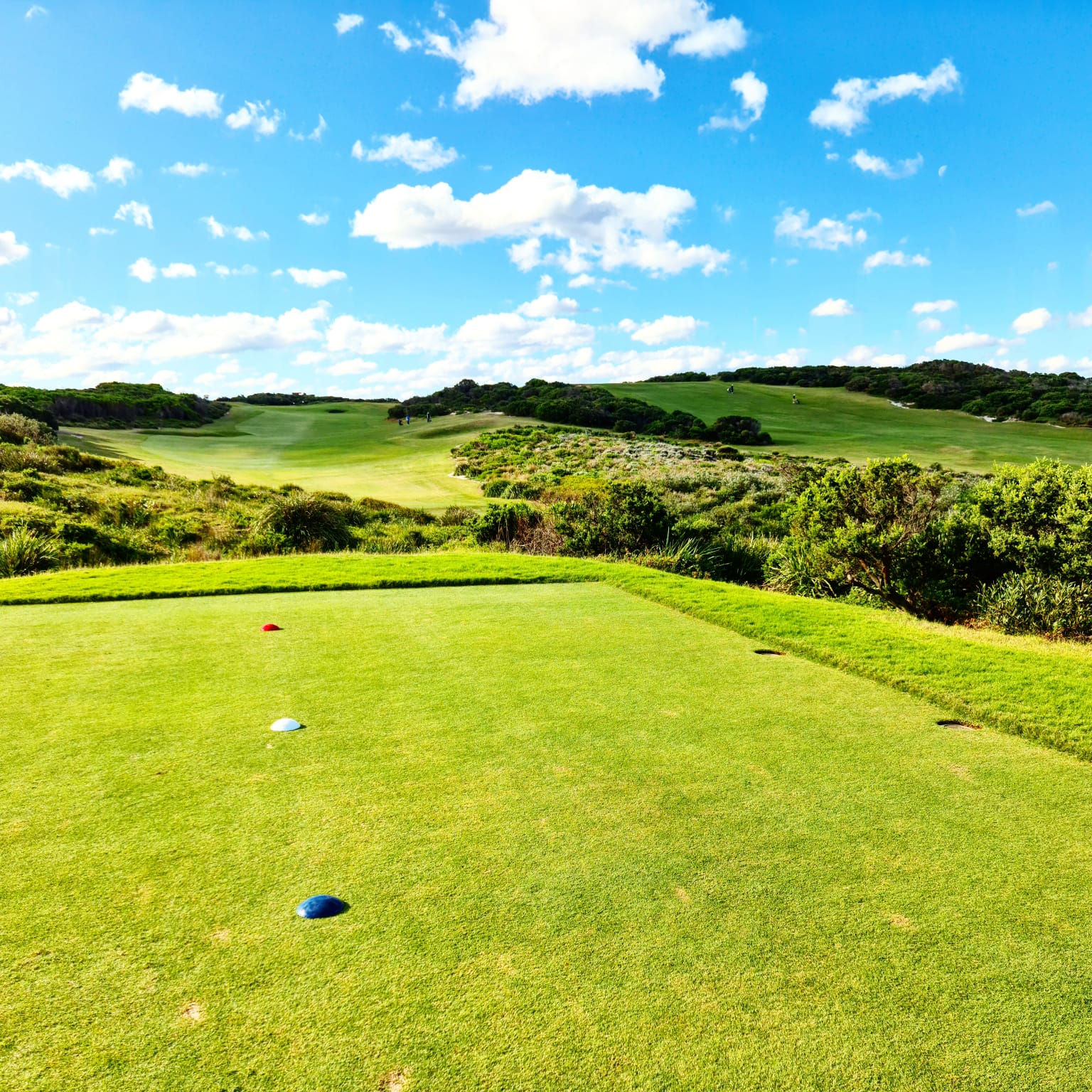 golf course landscape view