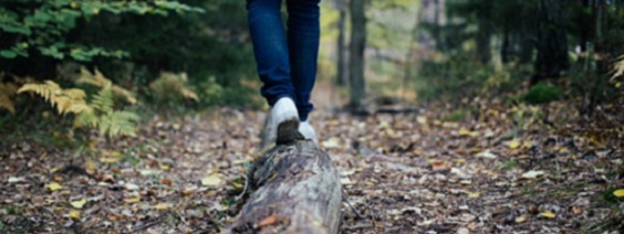person walking steps on a forest, ground-level view