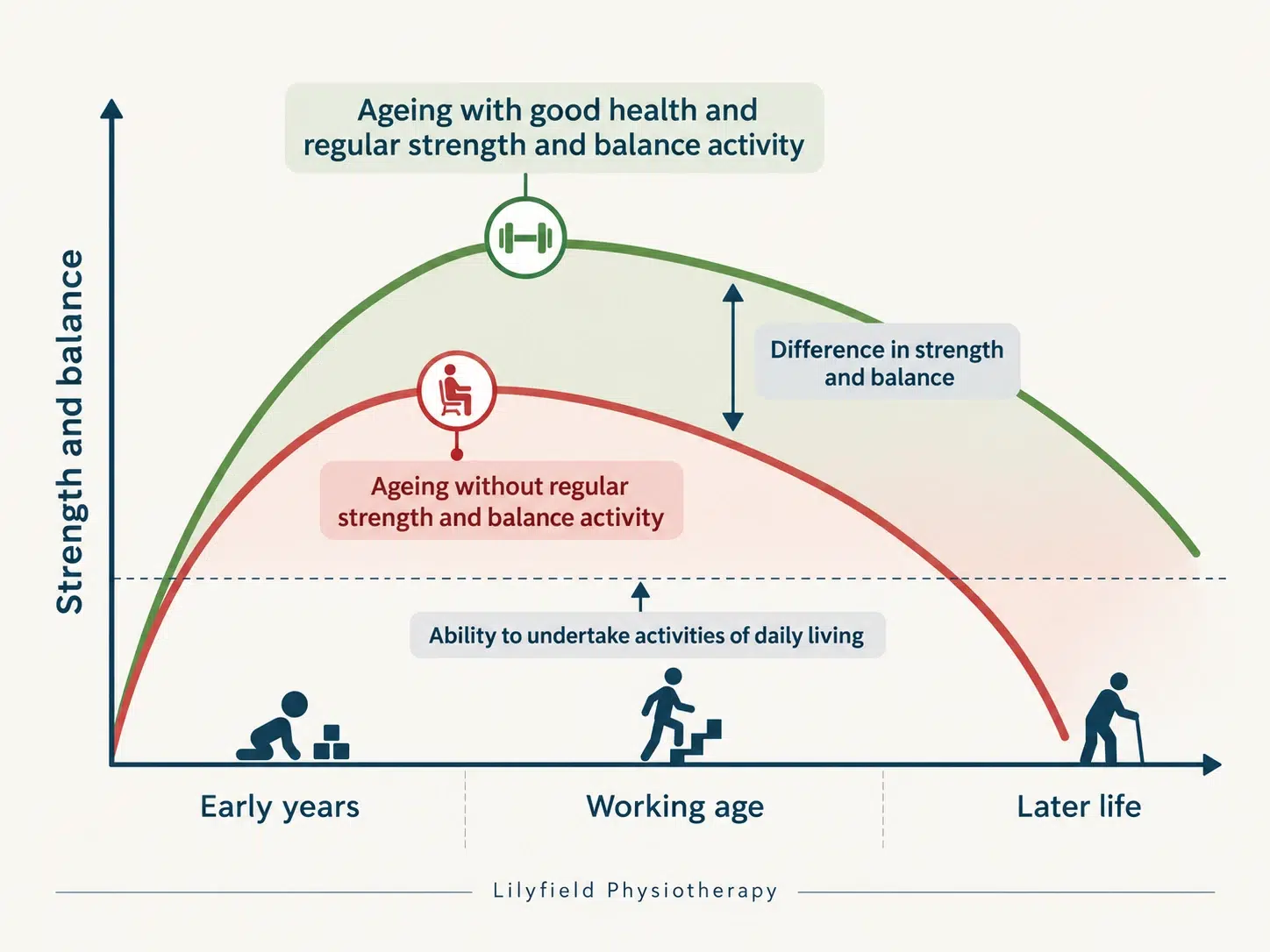 Line graph comparing strength and balance over a lifetime. A green curve shows higher strength with regular activity, while a red curve shows lower strength without it.